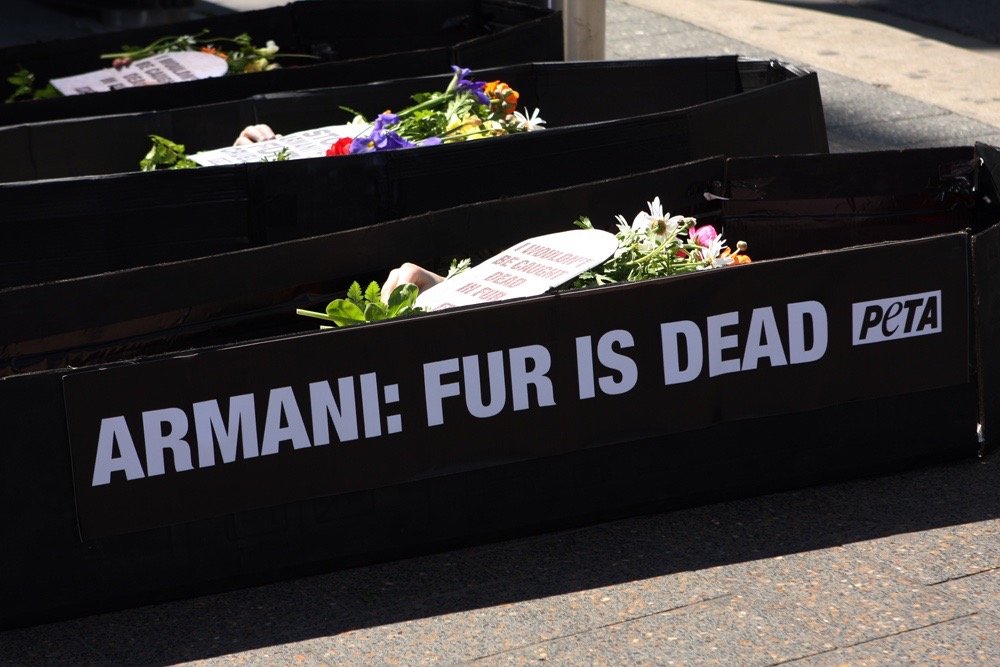 PETA 'Fur Is Dead' stunt gericht op modemerk Armani, Bondi Junction, Sydney. Foto: Eva Rinaldi